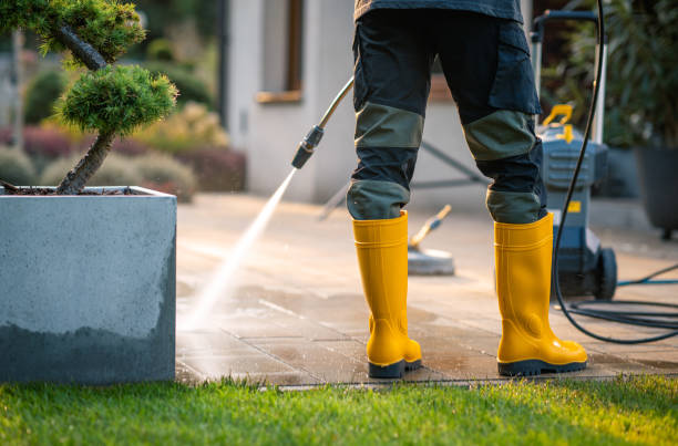 Best Roof Power Washing Services  in Elkhart, IN